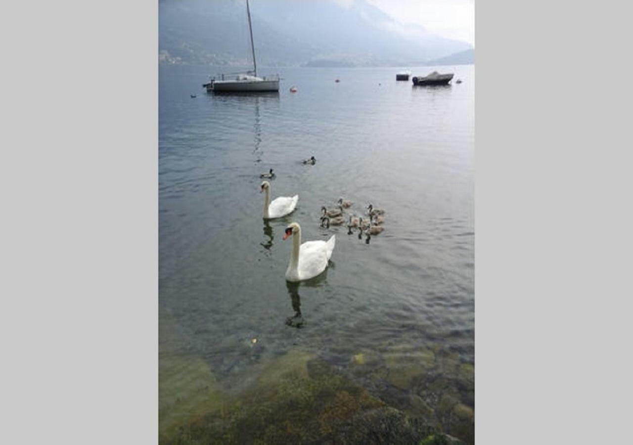 Appartamento Vista Lago - Mary Lezzeno Εξωτερικό φωτογραφία